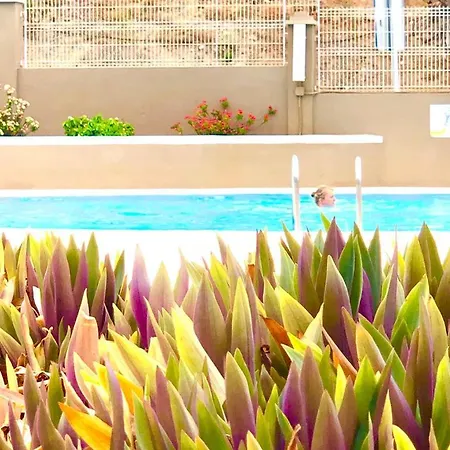 Comfort In Playa Americas Apartment
